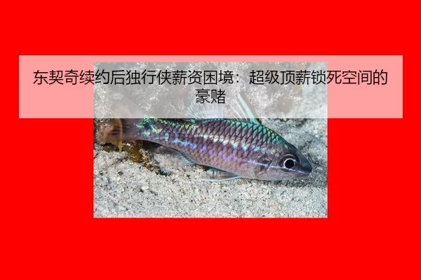 dong-qi-qi-xu-yue-hou-du-xing-xia-xin-zi-kun-jing-chao-ji-ding-xin-suo-si-kong-jian-de-hao-du-3-163.jpg